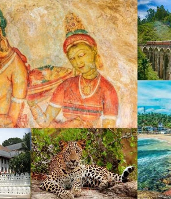 Features Image